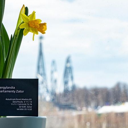 Energylandia Zator Apartament Grzes Exteriér fotografie